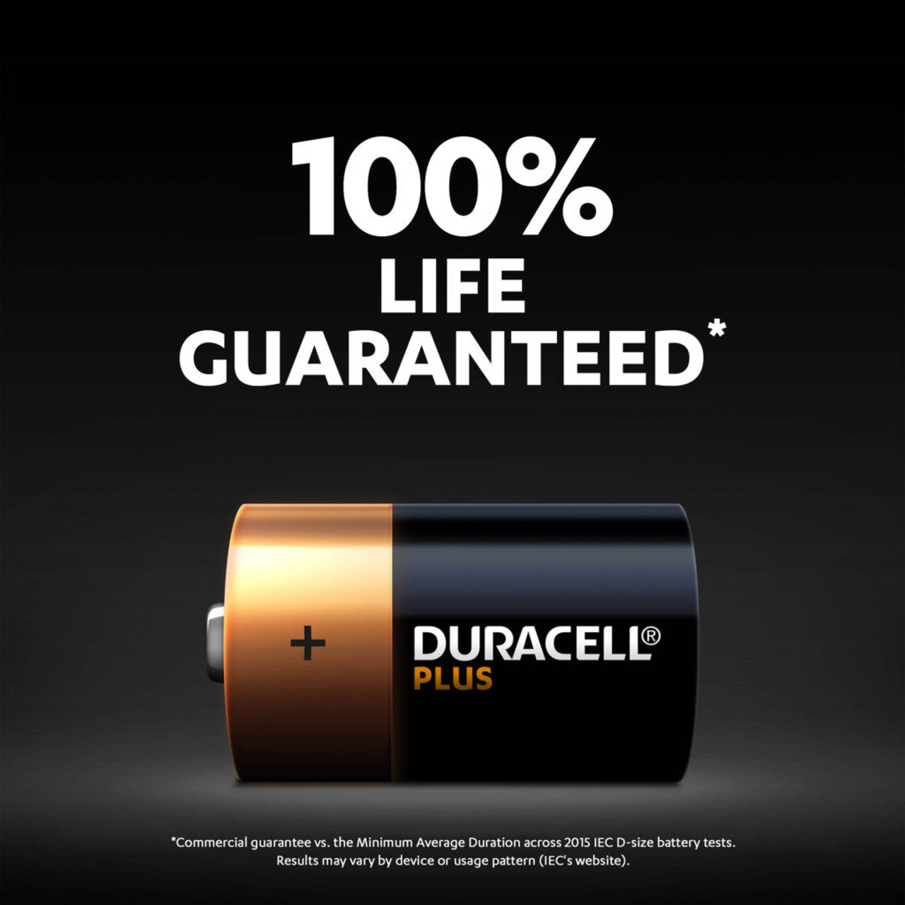 Duracell Plus Power D LR20 Batteries | 12 Bulk Pack