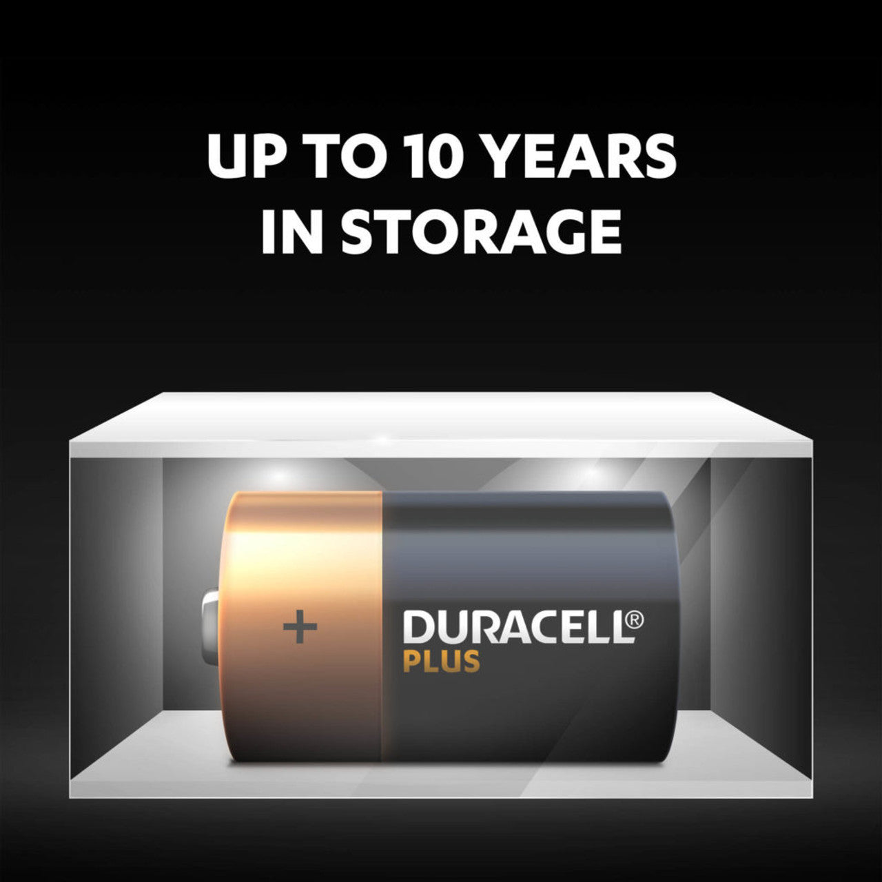 Duracell Plus Power D LR20 Batteries | 12 Bulk Pack