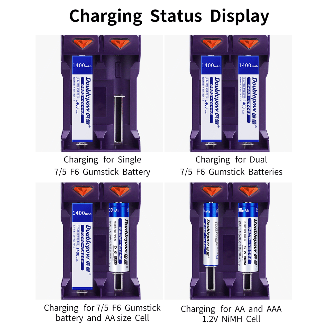 DoublePow Gumstick Battery Charger
